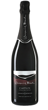 2021 Sparkling Shiraz